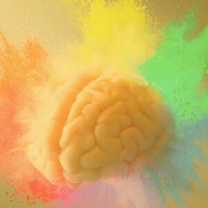 An introduction to dyslexia