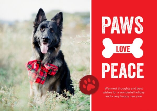Paws Love Peace 8x6" (20x15cm) Flat Card set of 20 (gloss cardstock), rounded corners, Card & Stationery Red