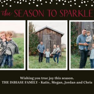 Season To Sparkle 8x6" (20x15cm) Flat Card set of 20 (gloss cardstock), rounded corners, Card & Stationery Black